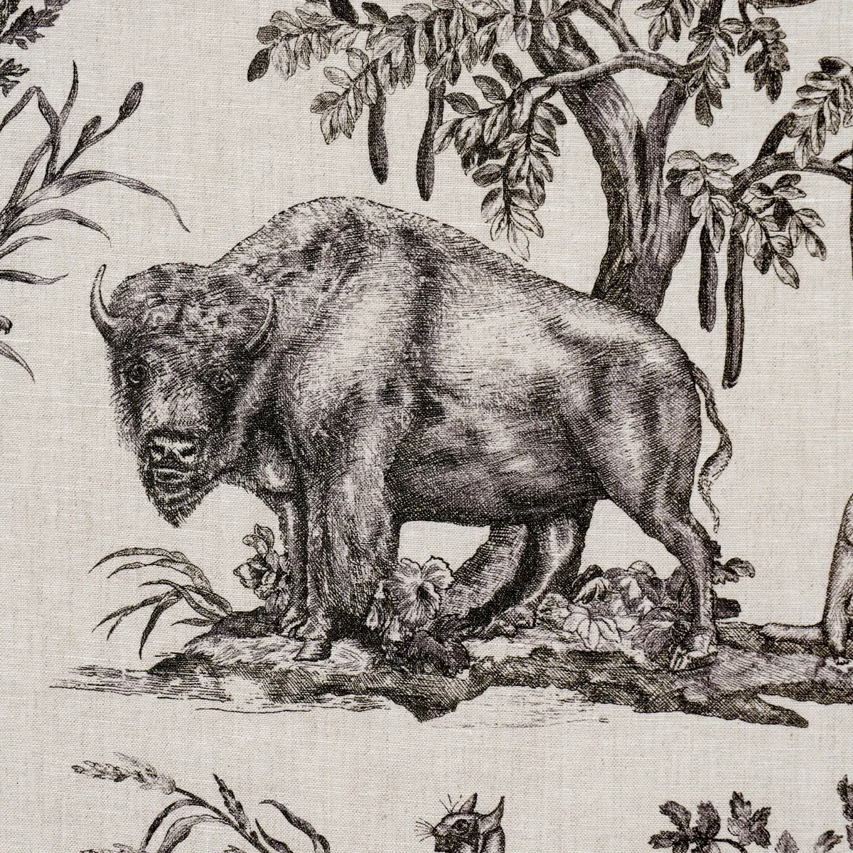 Western Toile_ CARBON