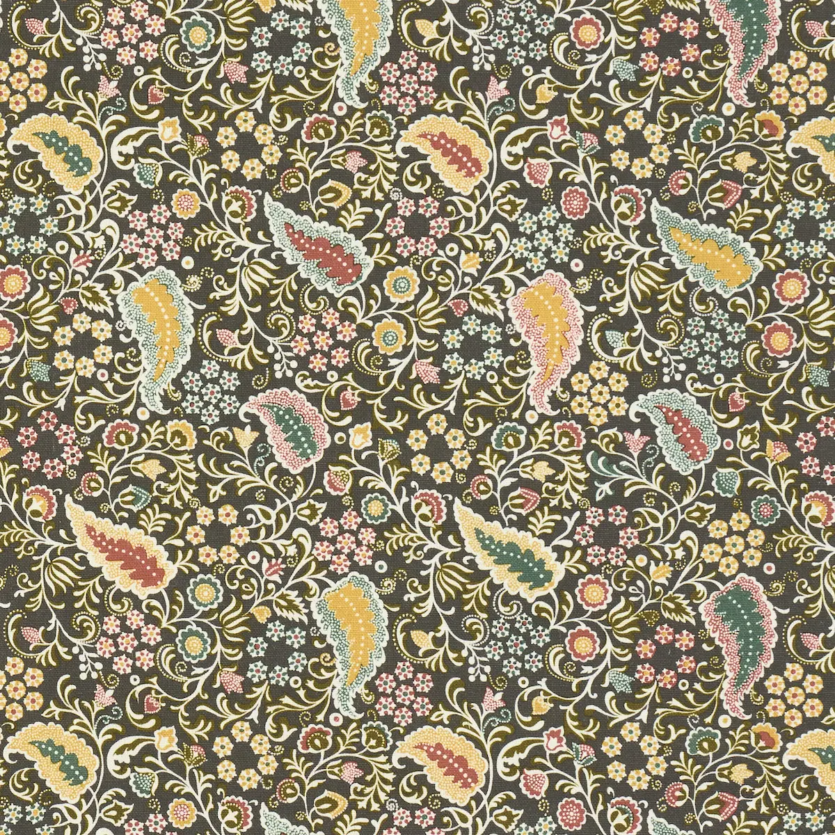 PEGGY PAISLEY_ GRAPHITE