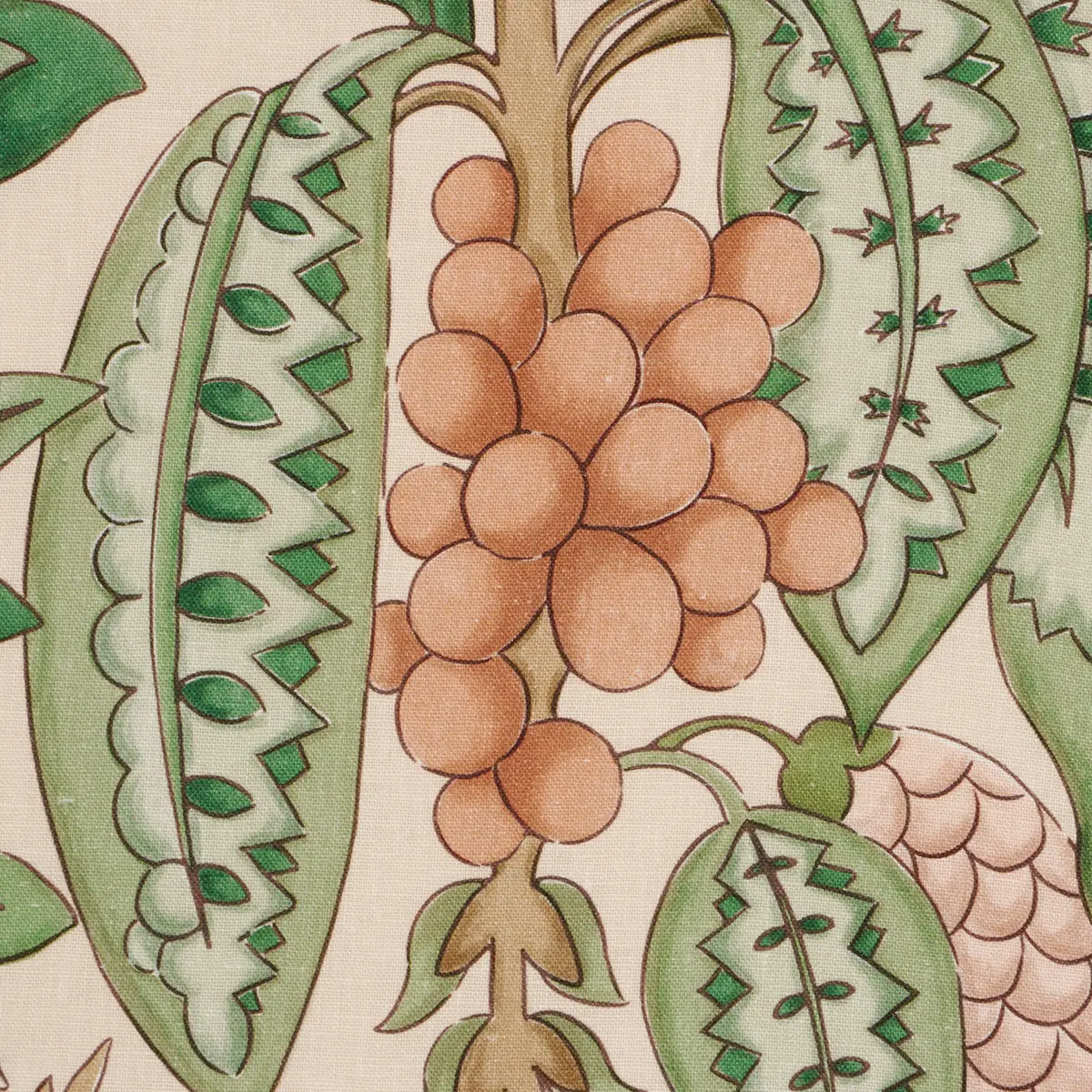 FRUITS DE SAISON_ APRICOT