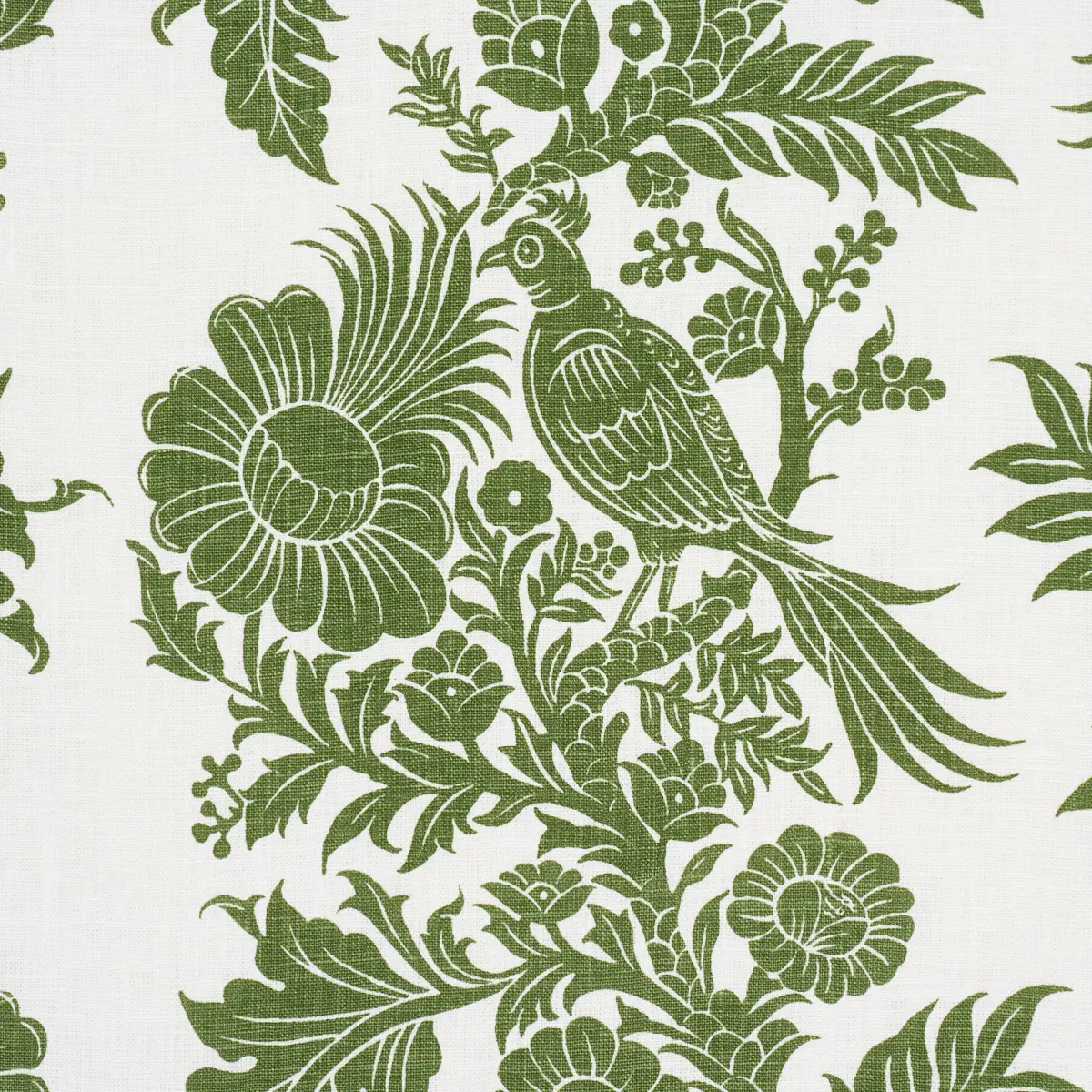 RAVEN WOODS_ GREEN