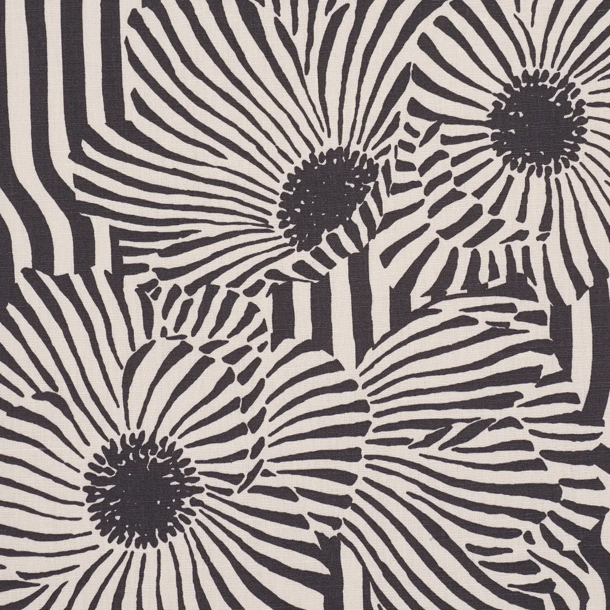 CHANEY FLORAL_ CARBON