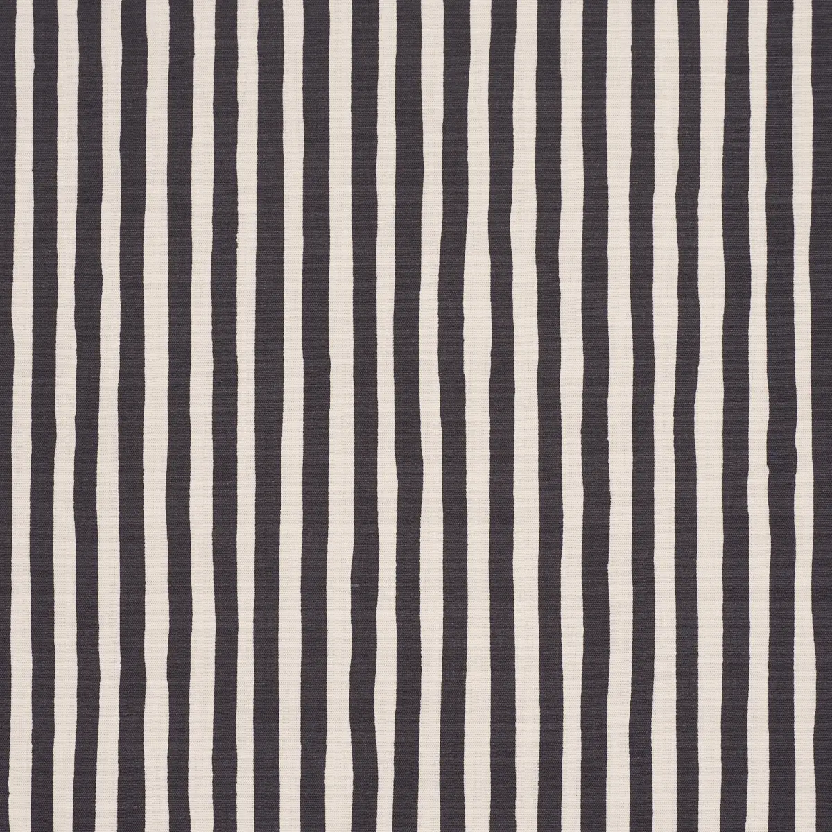 CHANEY STRIPE_ CARBON