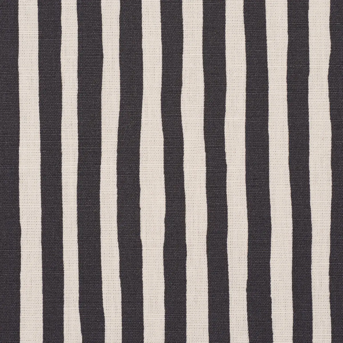 CHANEY STRIPE_ CARBON