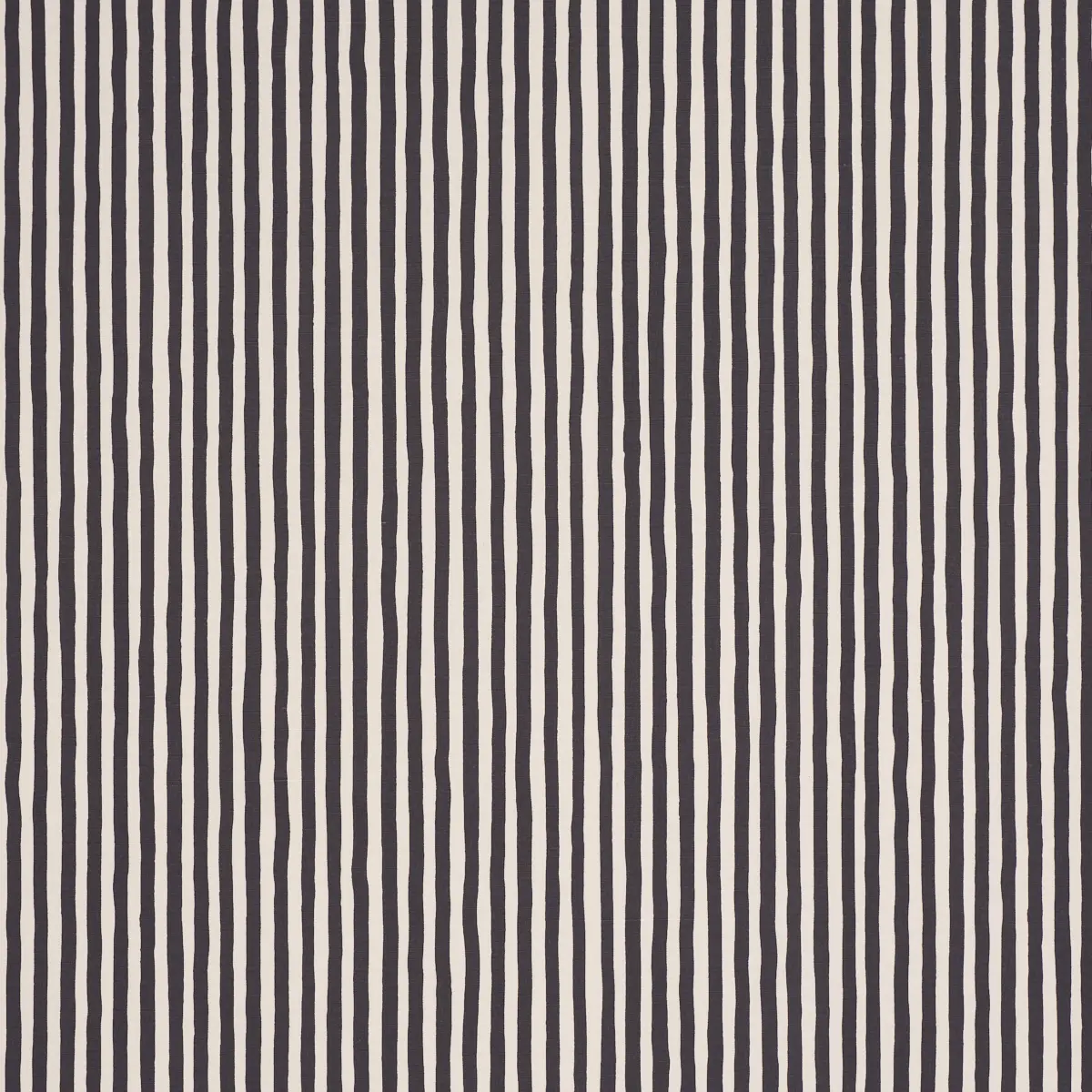 CHANEY STRIPE_ CARBON
