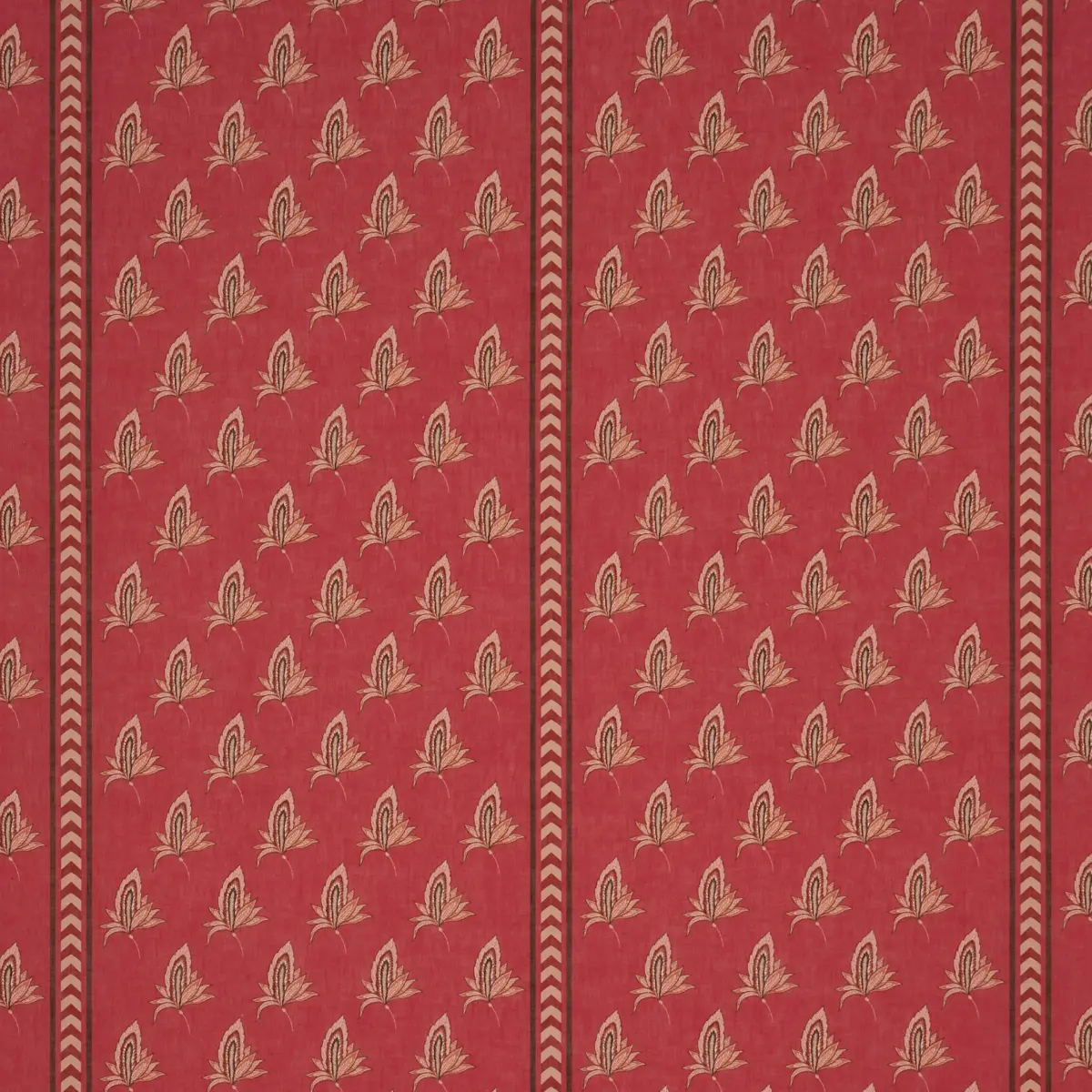 BANGALORE IMAGINATION_ ROUGE