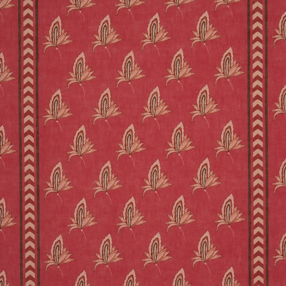 BANGALORE IMAGINATION_ ROUGE