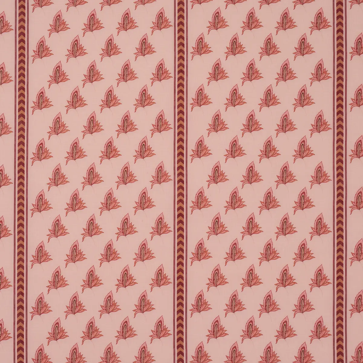 BANGALORE IMAGINATION_ ROSE