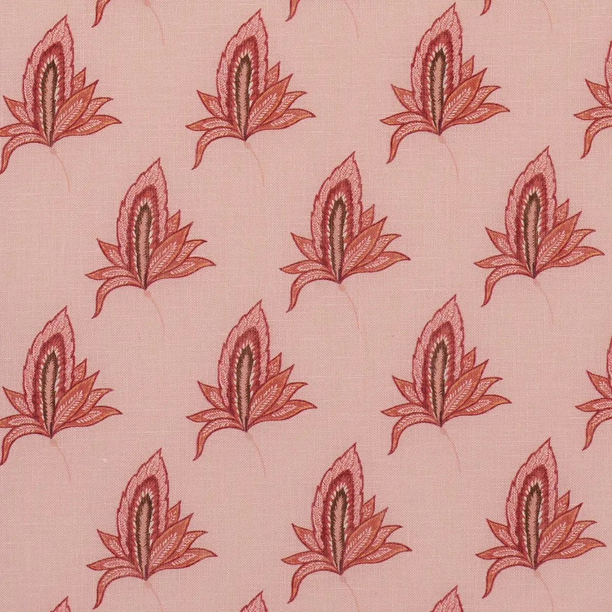 BANGALORE IMAGINATION_ ROSE