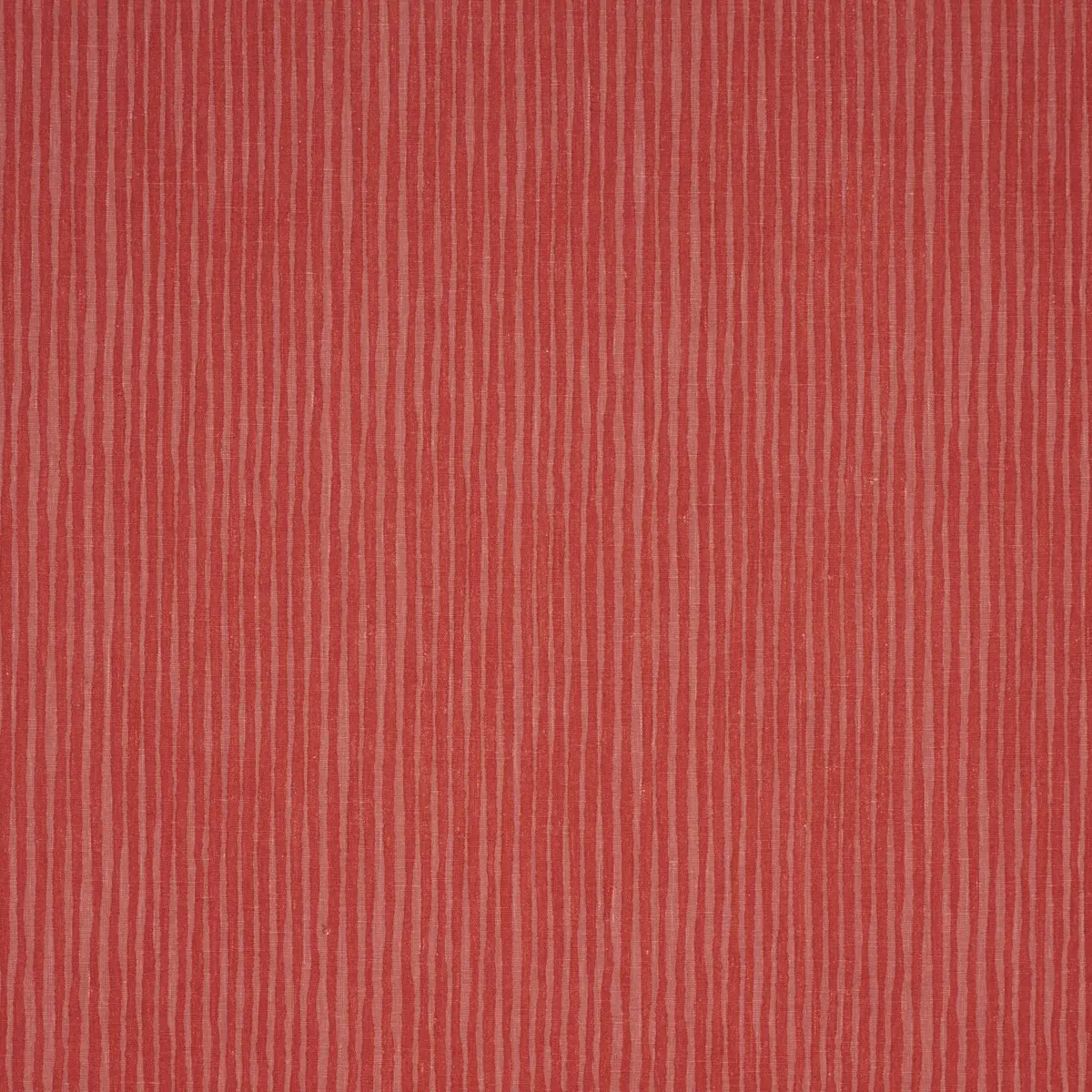 HALLUCINATION_ CORAL