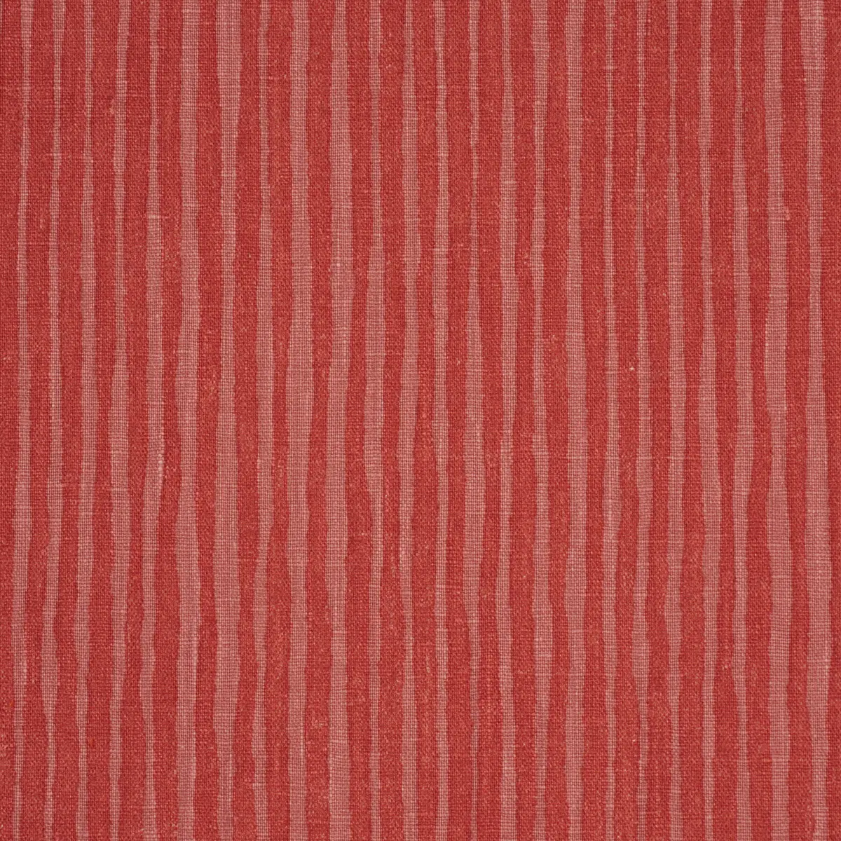 HALLUCINATION_ CORAL