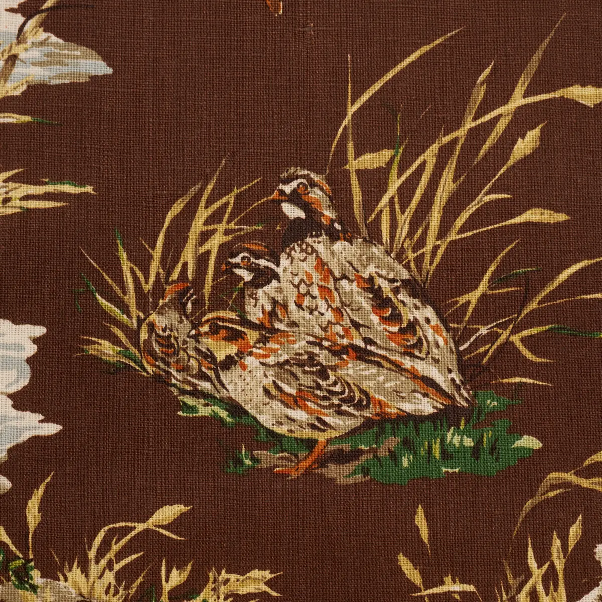 DOG & DUCK_ BROWN