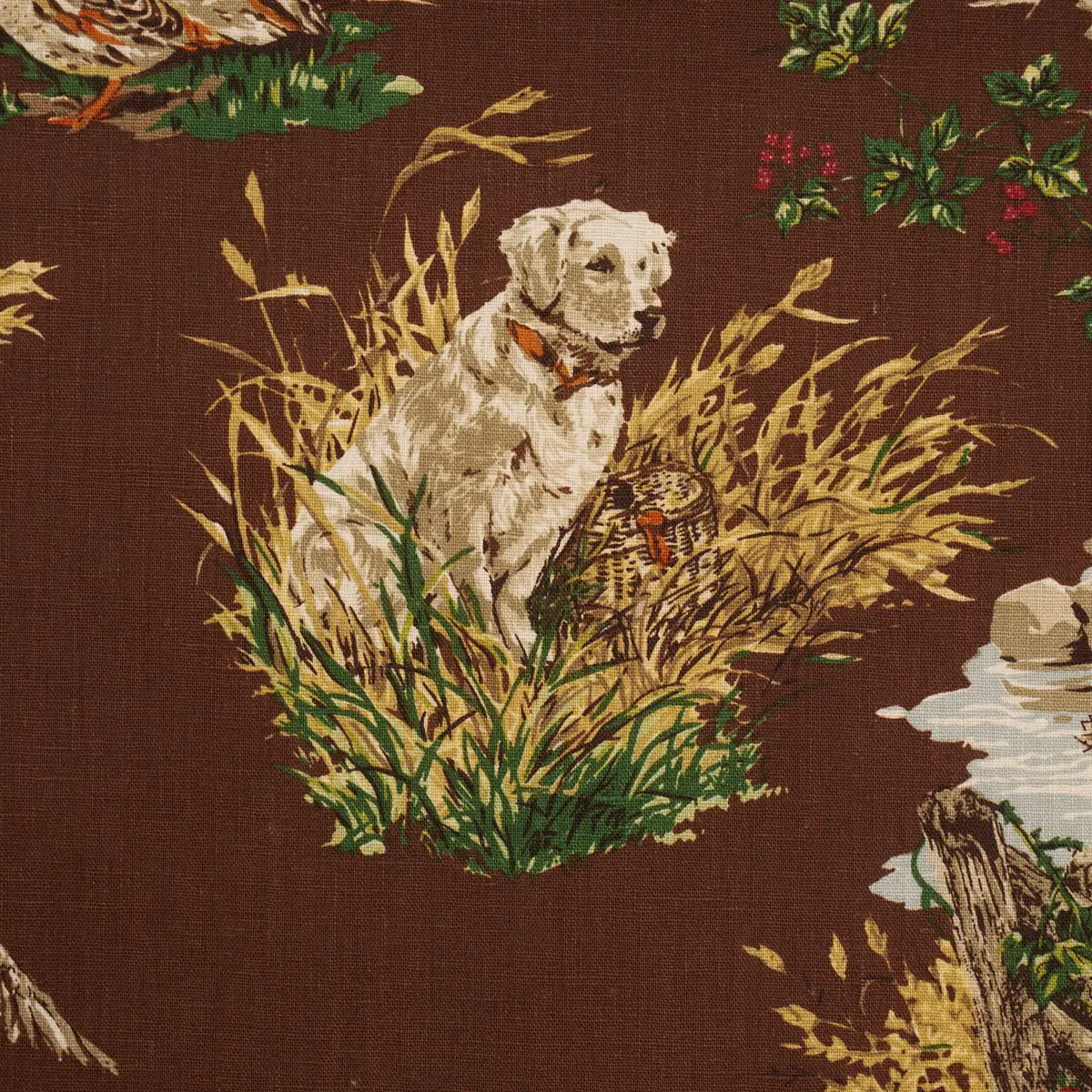 DOG & DUCK_ BROWN