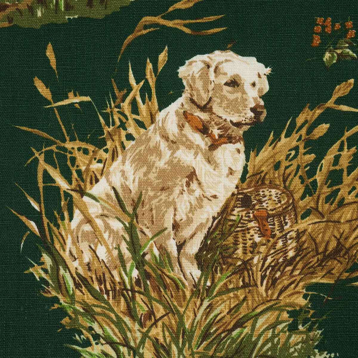 DOG & DUCK_ VERDANT