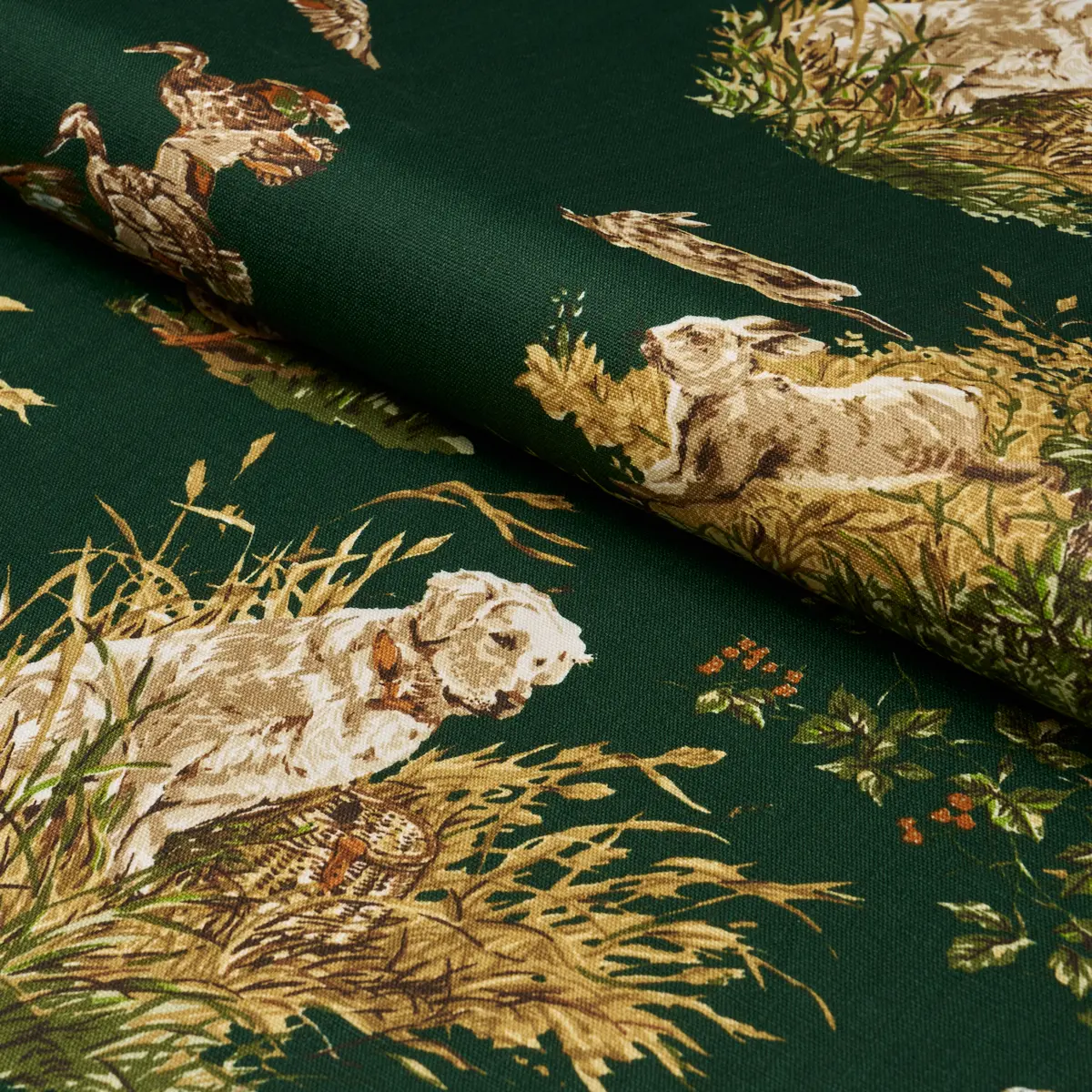 DOG & DUCK_ VERDANT