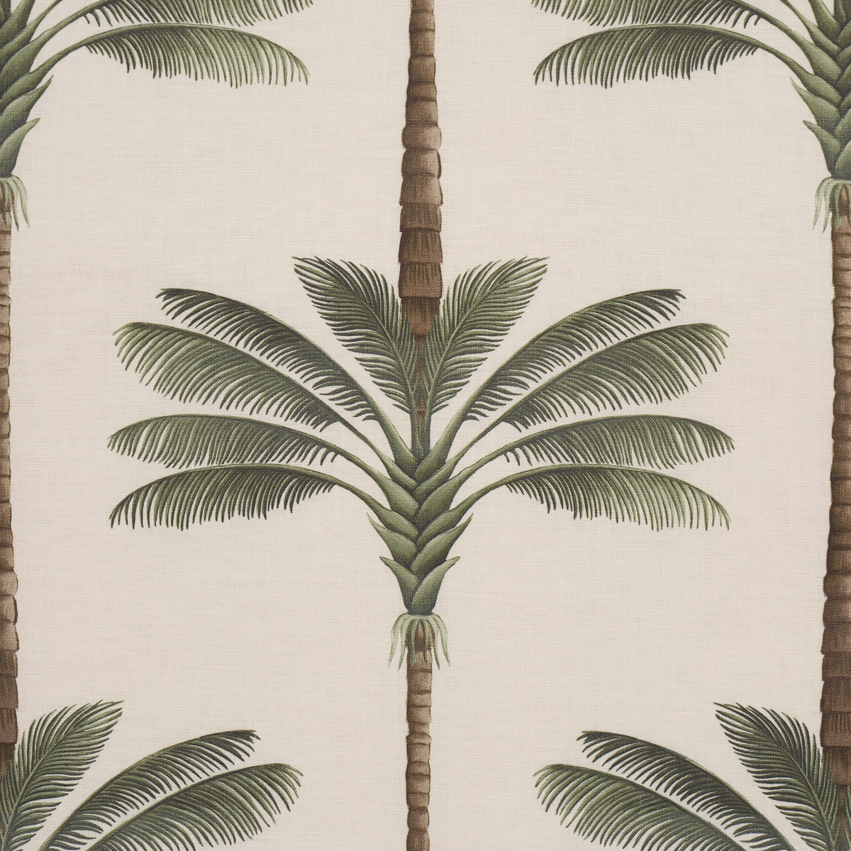 A PALM IS A PALM PRINT_ DAYLIGHT EVERGREEN