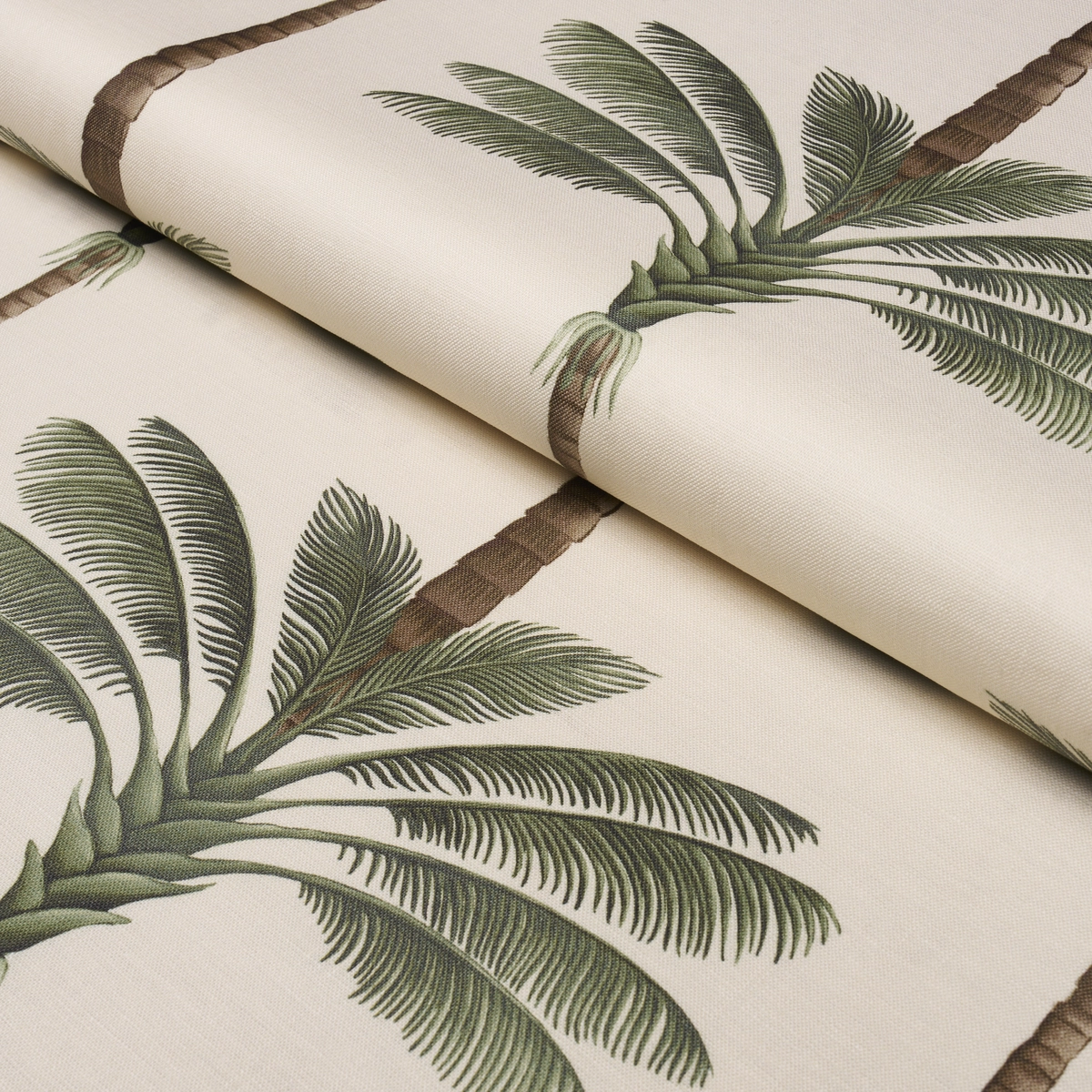 A PALM IS A PALM PRINT_ DAYLIGHT EVERGREEN