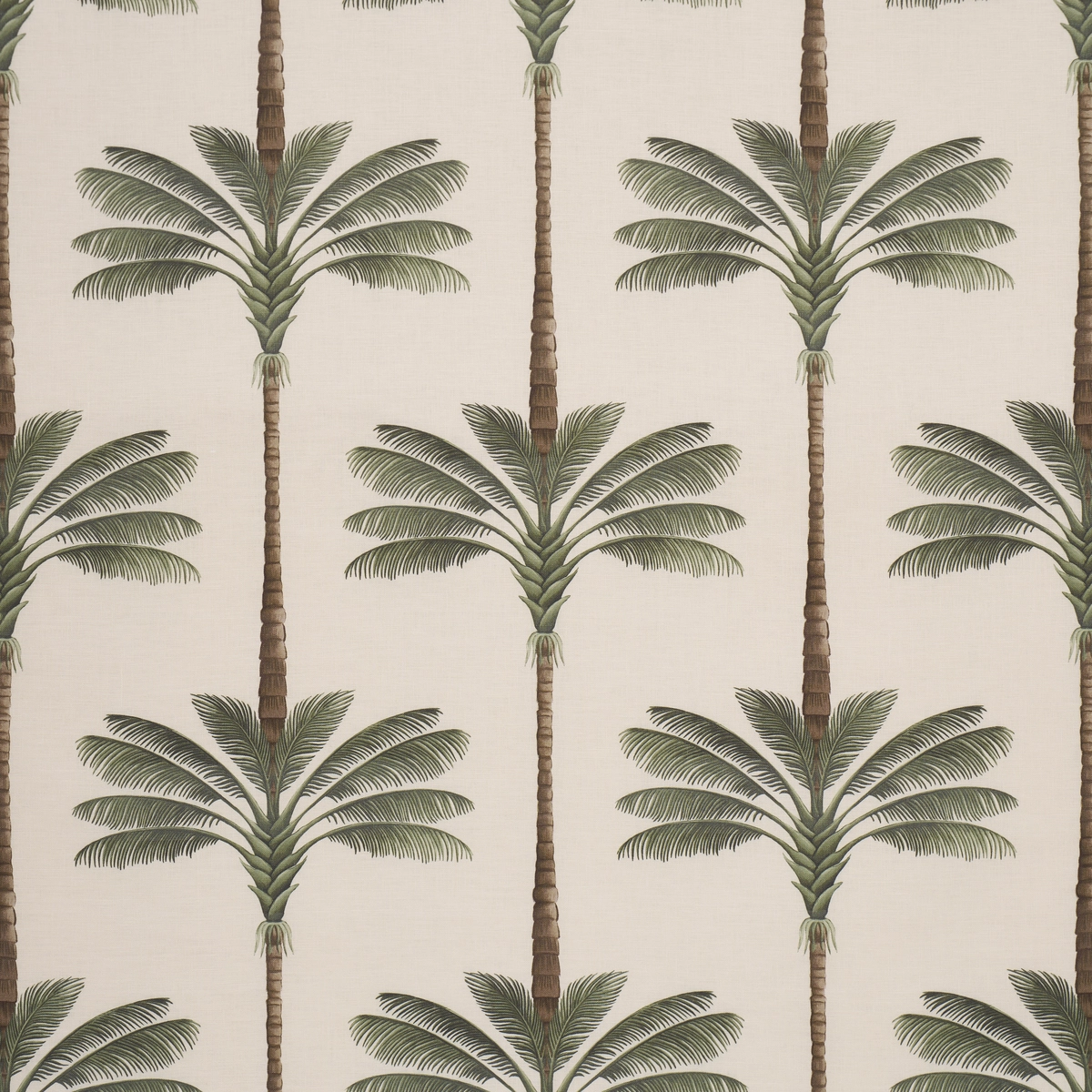 A PALM IS A PALM PRINT_ DAYLIGHT EVERGREEN