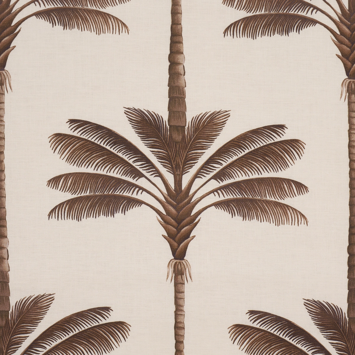 A PALM IS A PALM PRINT_ CHOCOLATE MEETS TOBACCO
