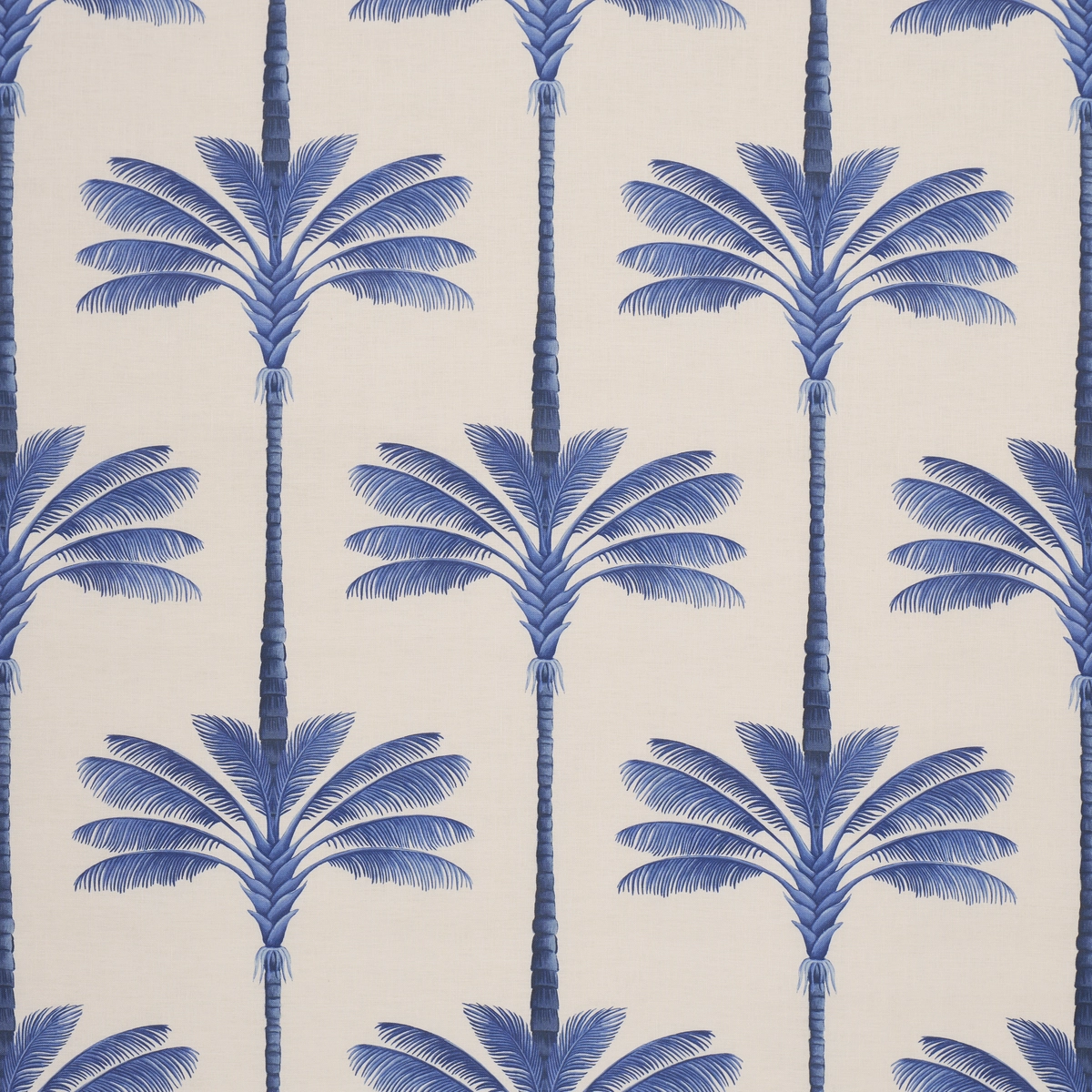 A PALM IS A PALM PRINT_ INDIGO PALM GROVE