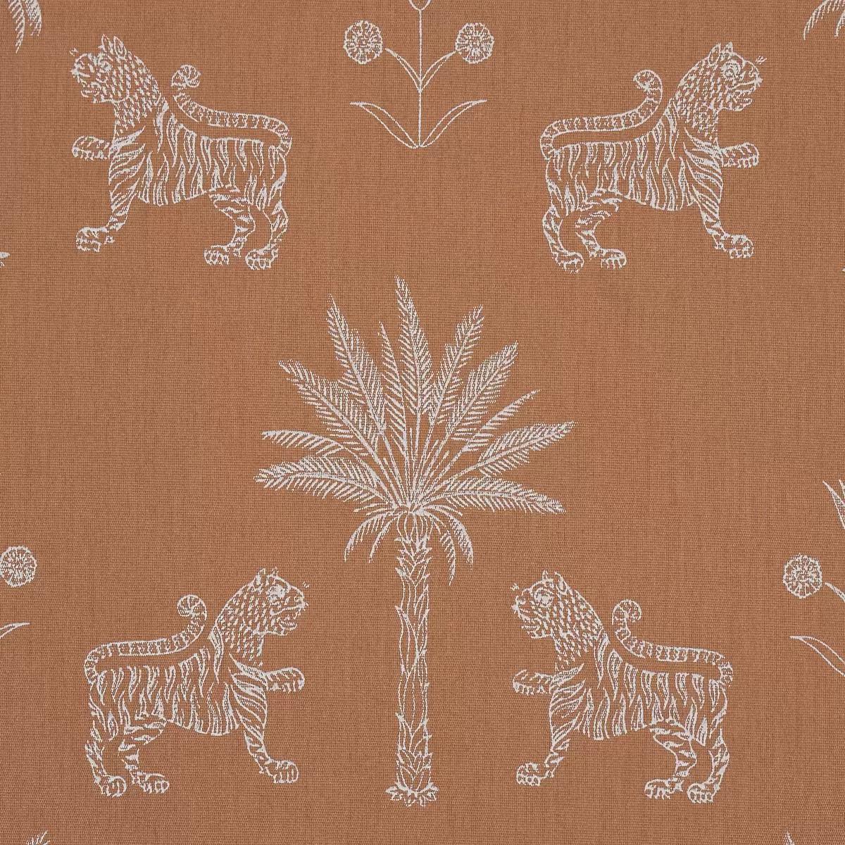 TIGER PALM SILHOUETTE OUTDOOR_ MEDITERRANEAN SPICE