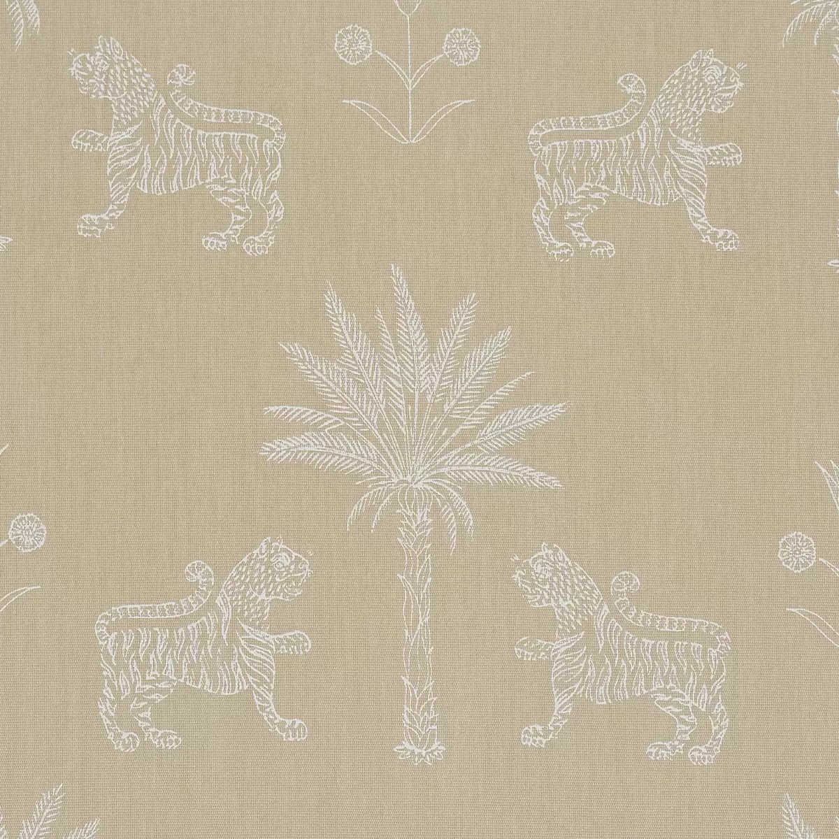 TIGER PALM SILHOUETTE OUTDOOR_ MISTRAL SAND