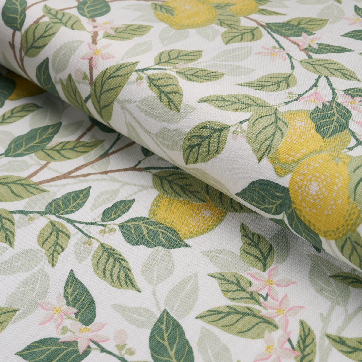CITRONTRÄD_ IVORY AND LEAF