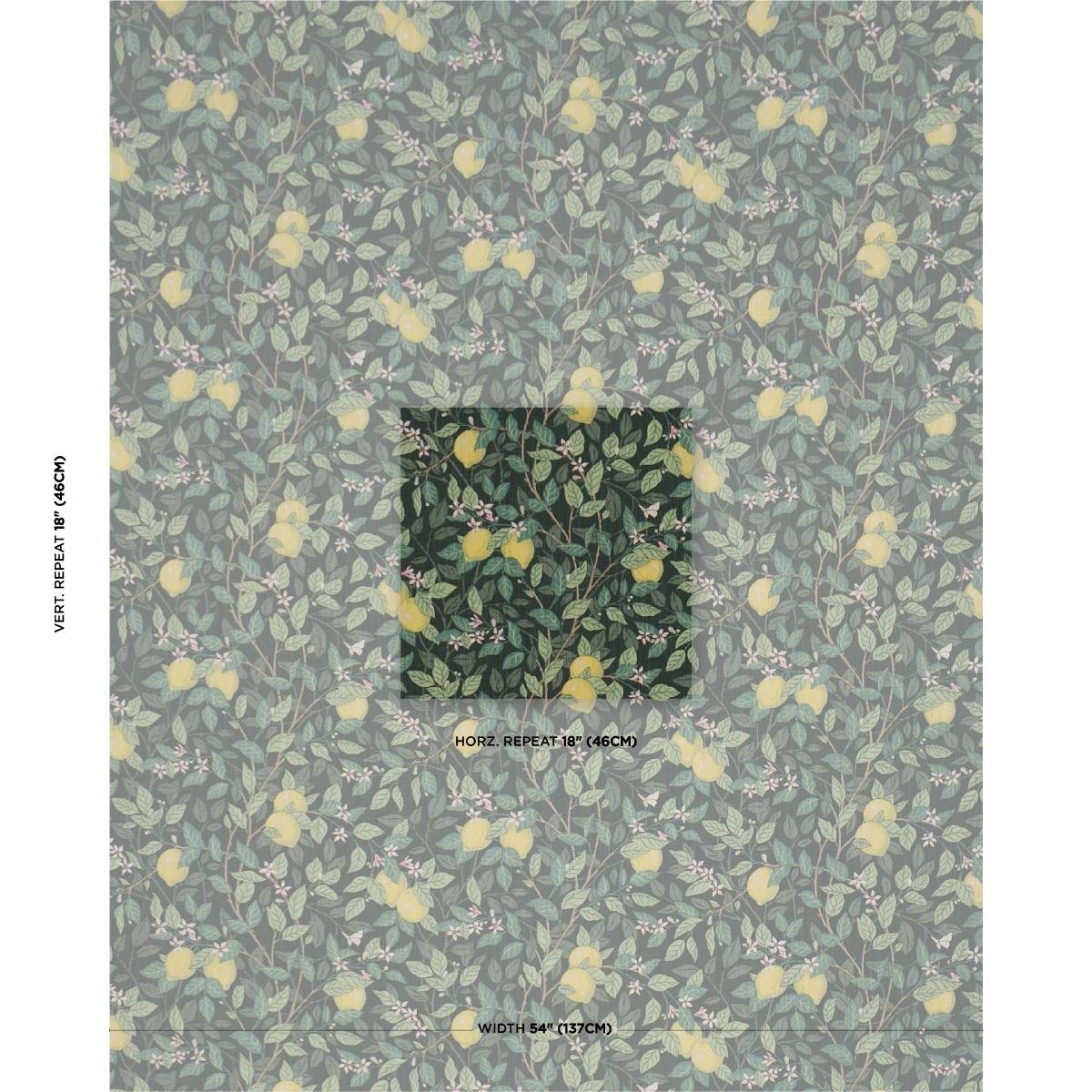 CITRONTRÄD_ GREEN