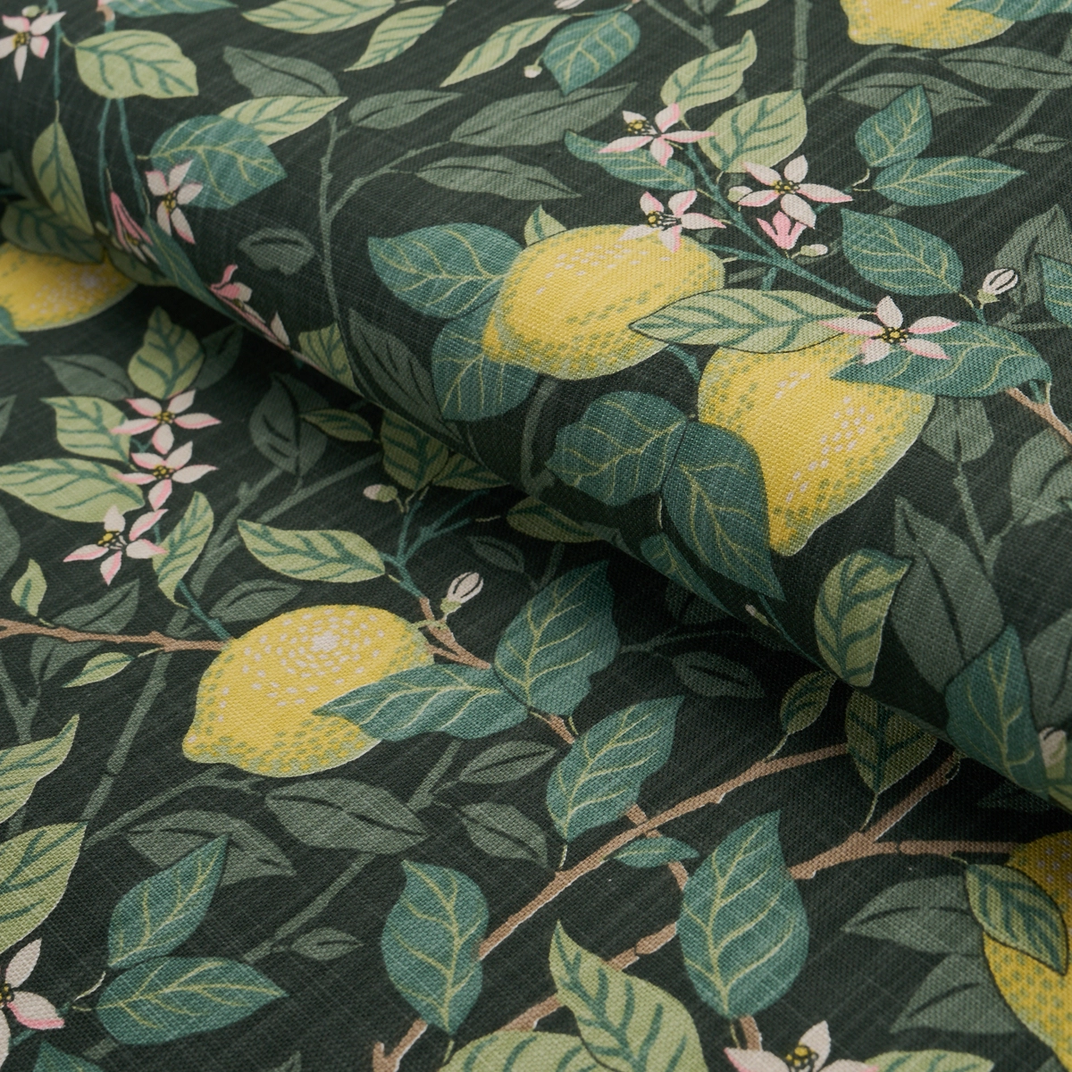 CITRONTRÄD_ GREEN