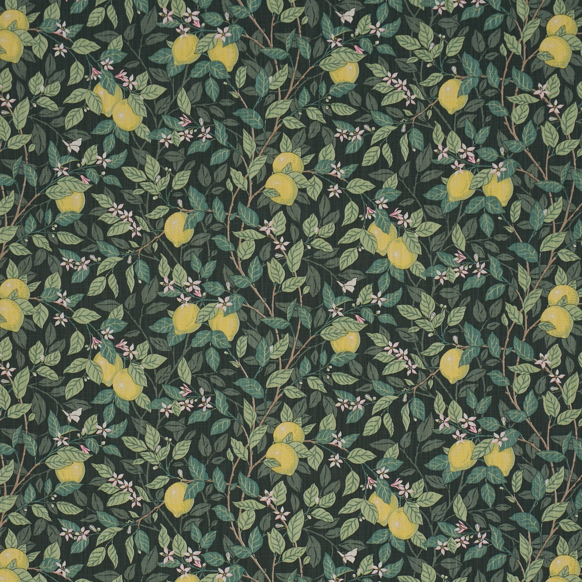 CITRONTRÄD_ GREEN