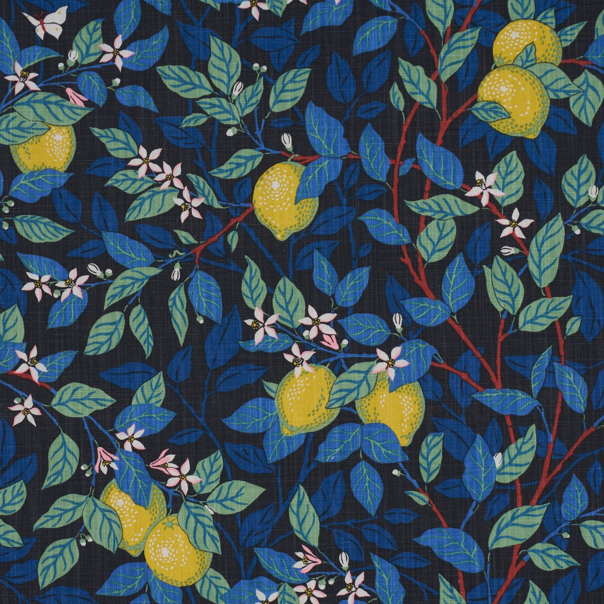 CITRONTRÄD_ SPRUCE AND BLUE