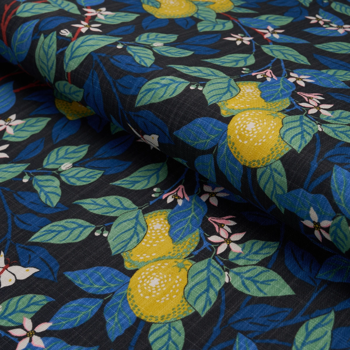 CITRONTRÄD_ SPRUCE AND BLUE