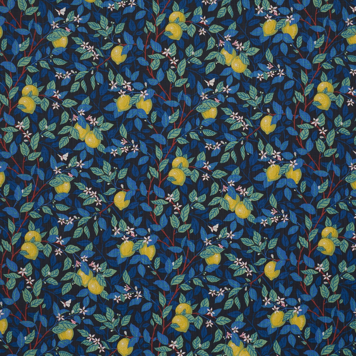 CITRONTRÄD_ SPRUCE AND BLUE