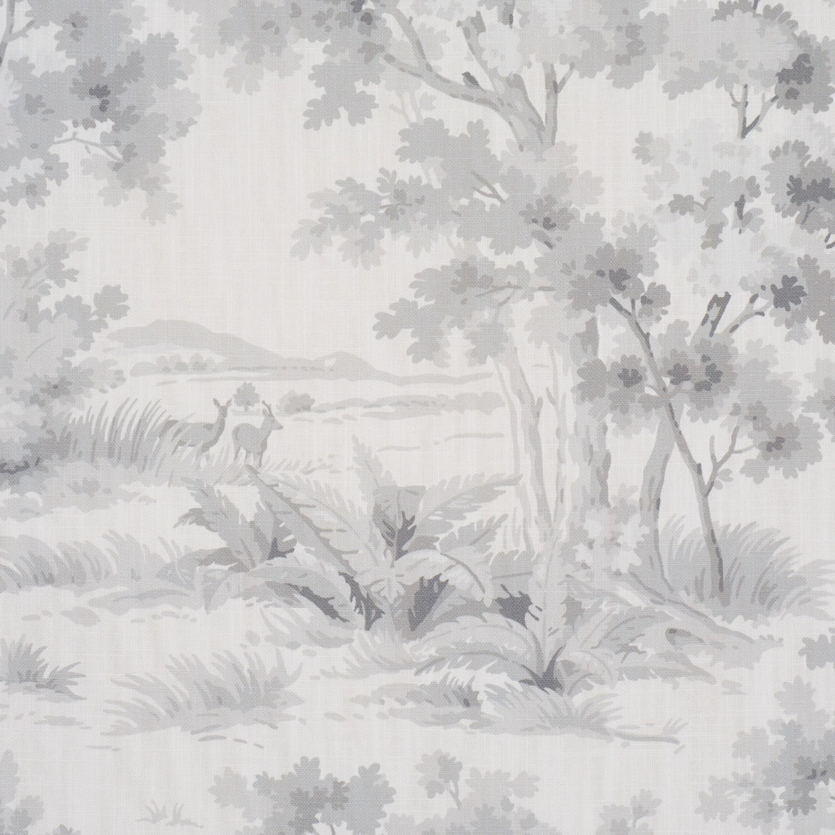 COUNTRYSIDE MORNING_ GREY