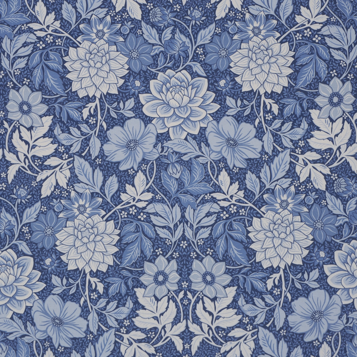 DAHLIA GARDEN_ BLUE AND WHITE