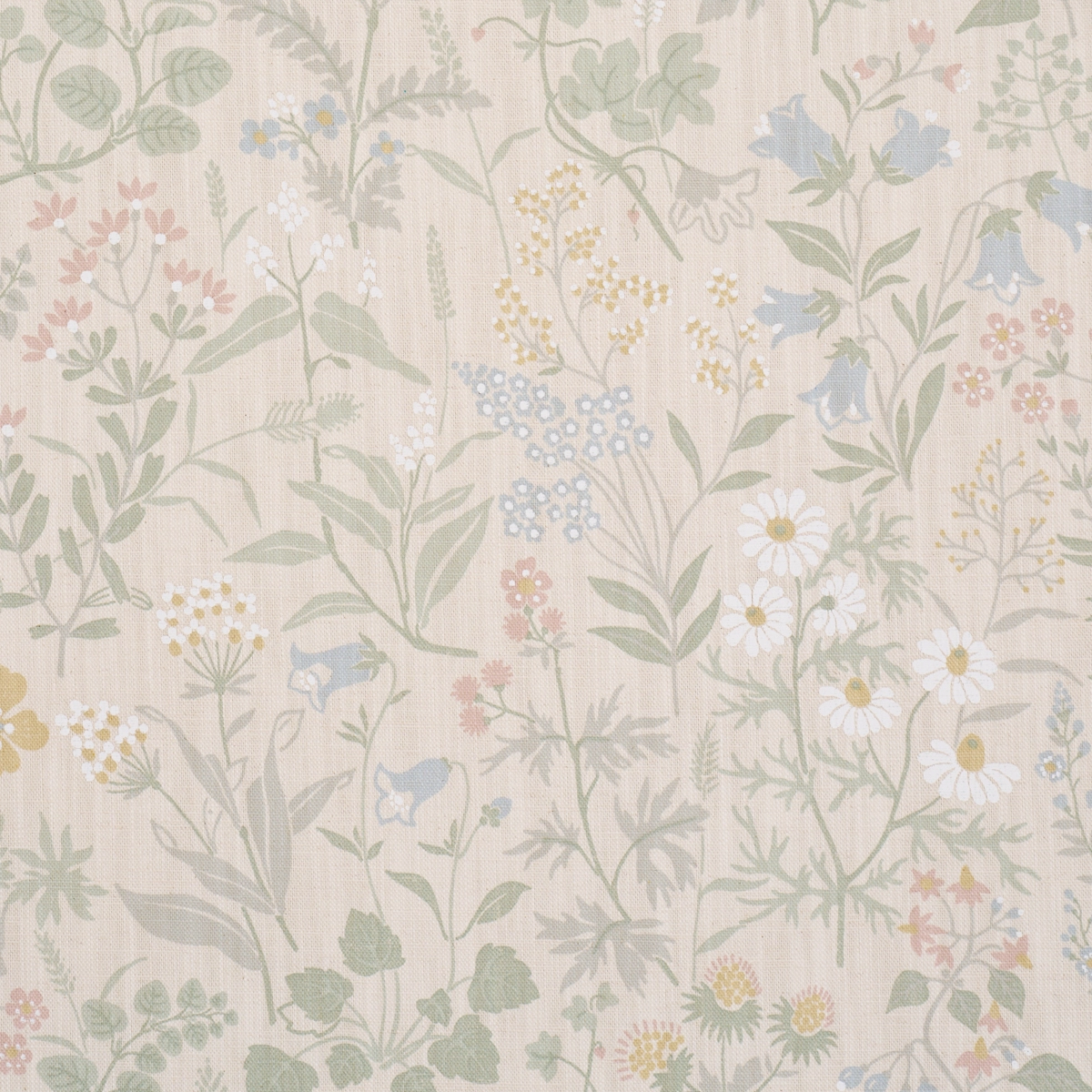 FLORA_ SAND