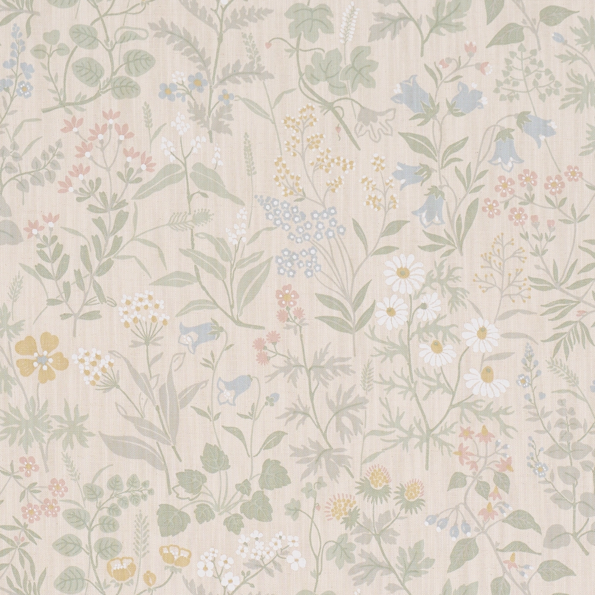 FLORA_ SAND