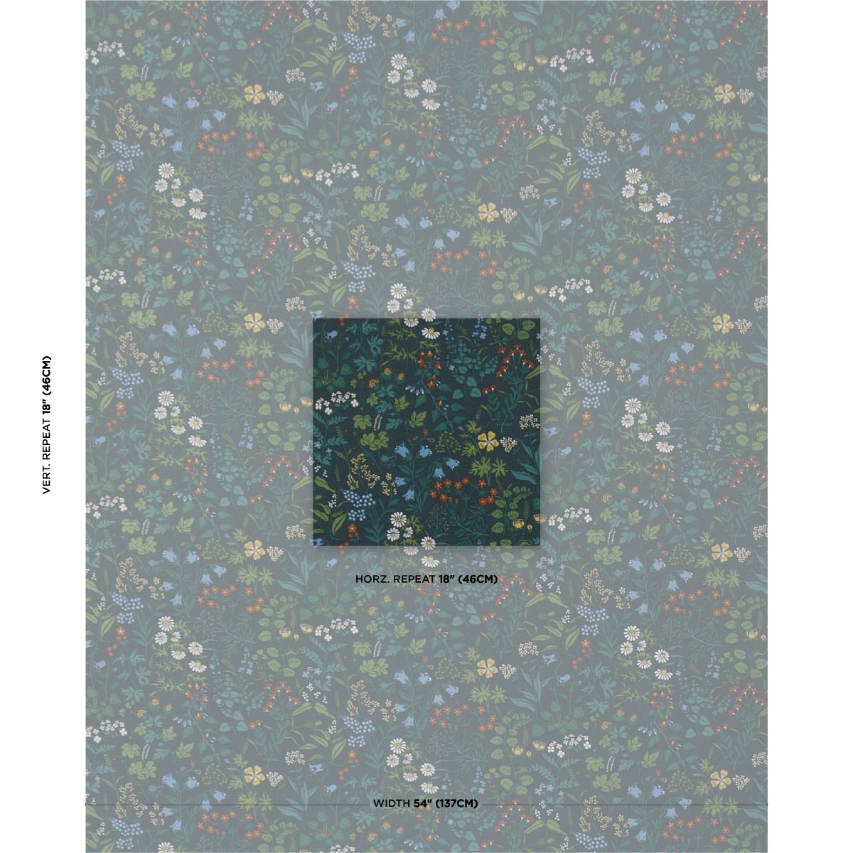 FLORA_ SPRUCE