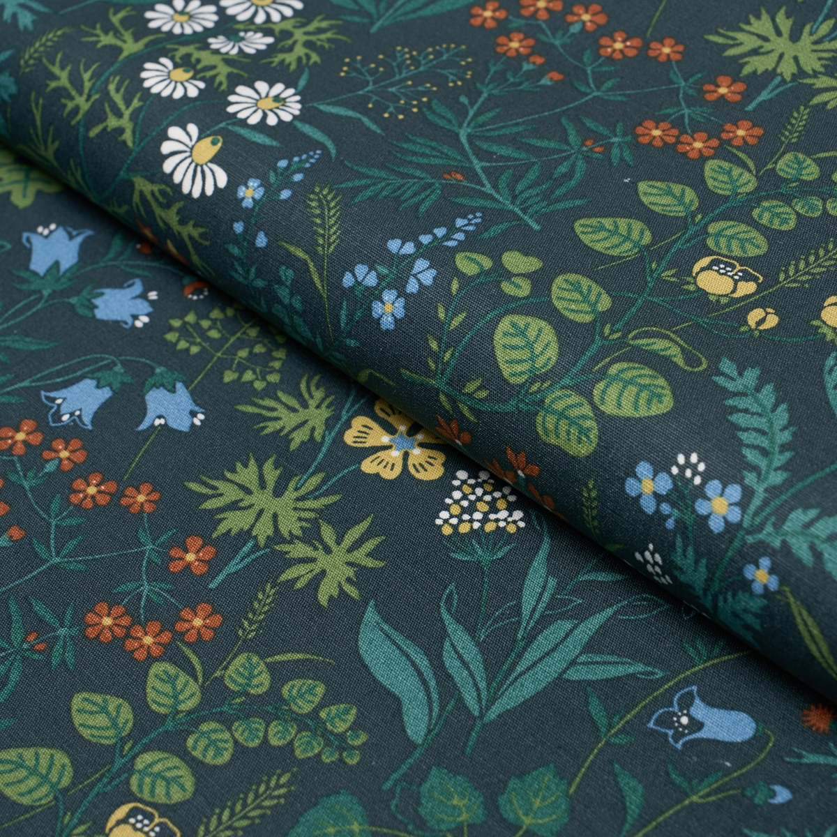 FLORA_ SPRUCE