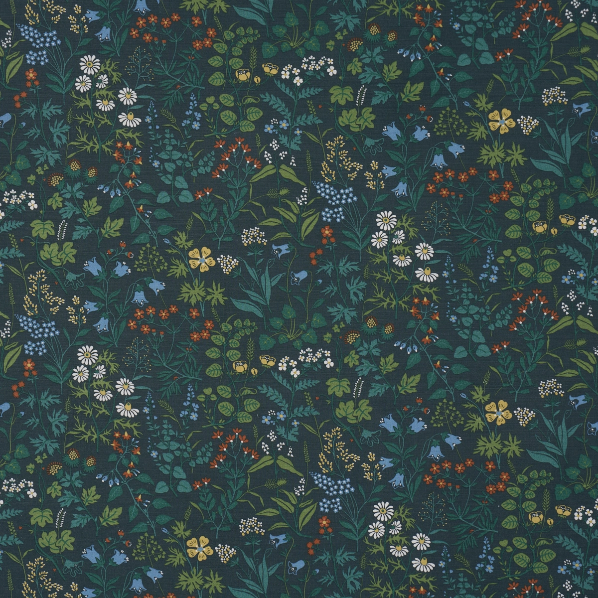 FLORA_ SPRUCE
