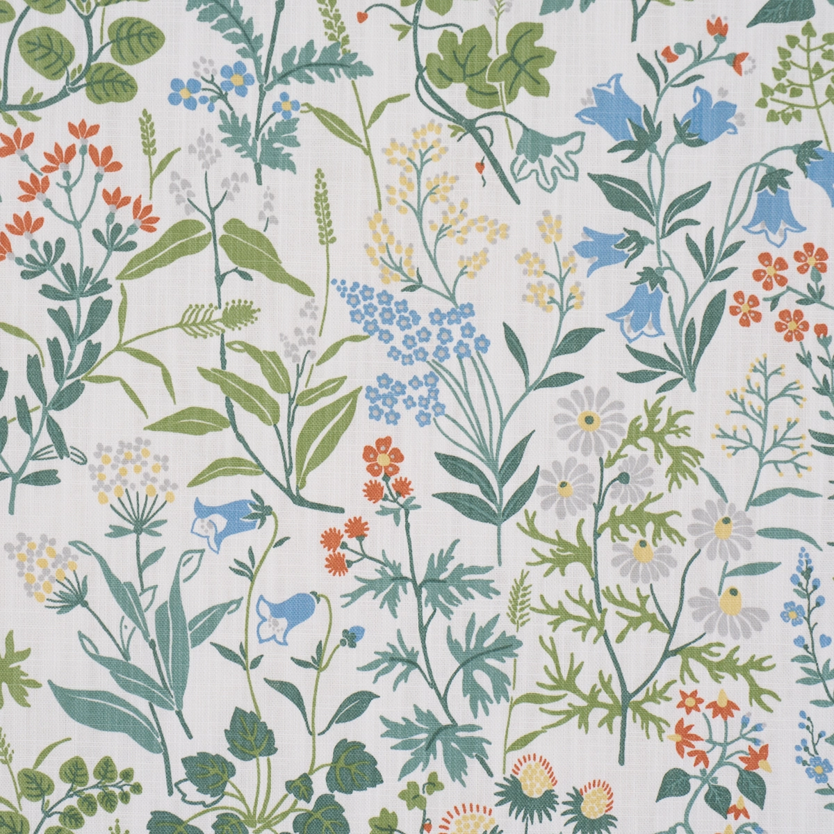 FLORA_ IVORY