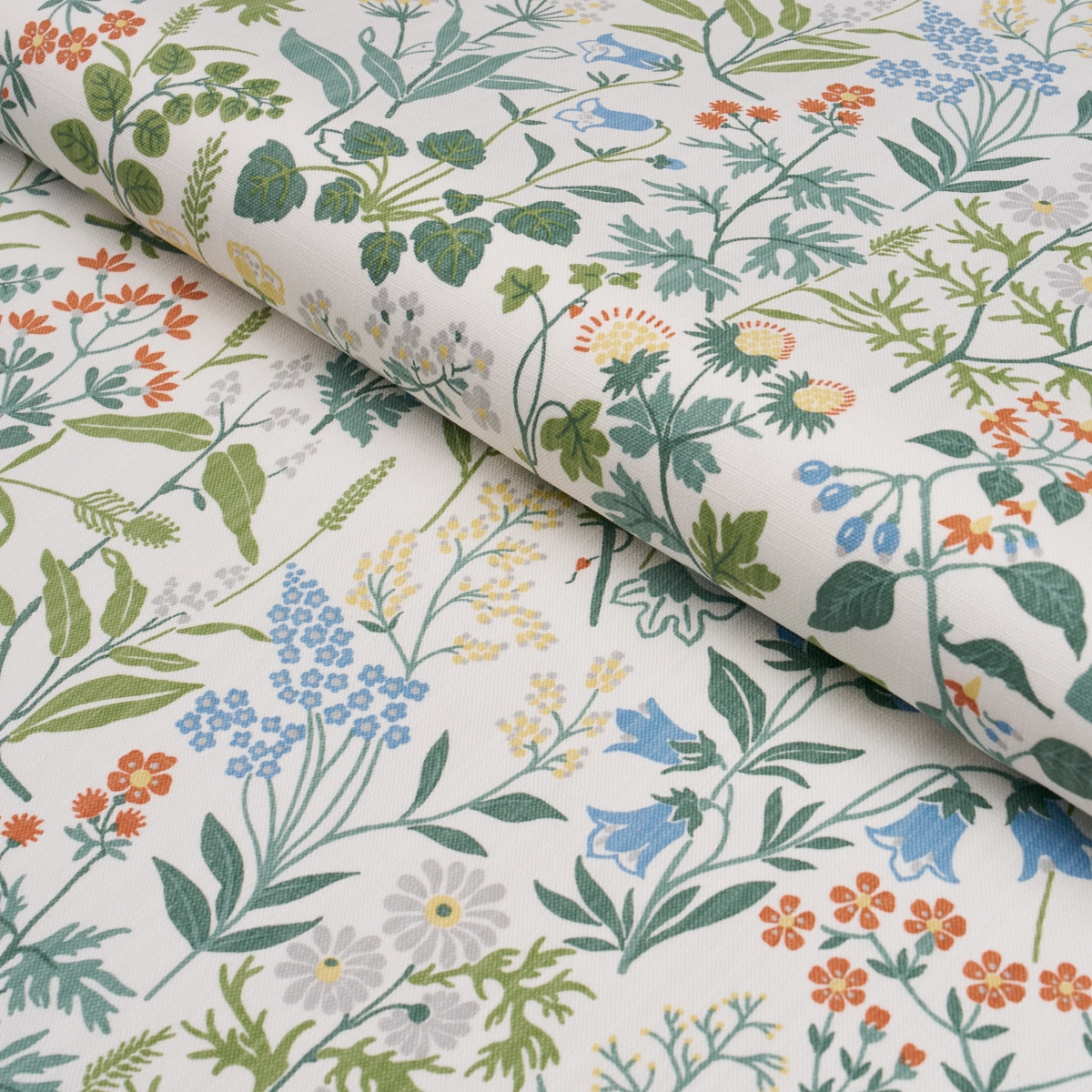 FLORA_ IVORY