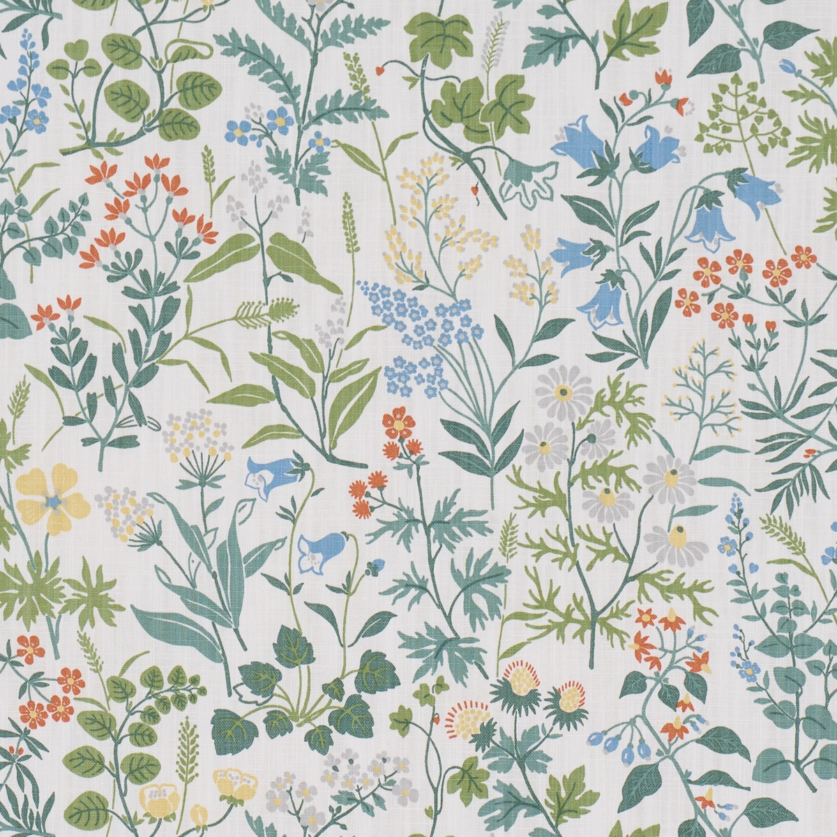 FLORA_ IVORY
