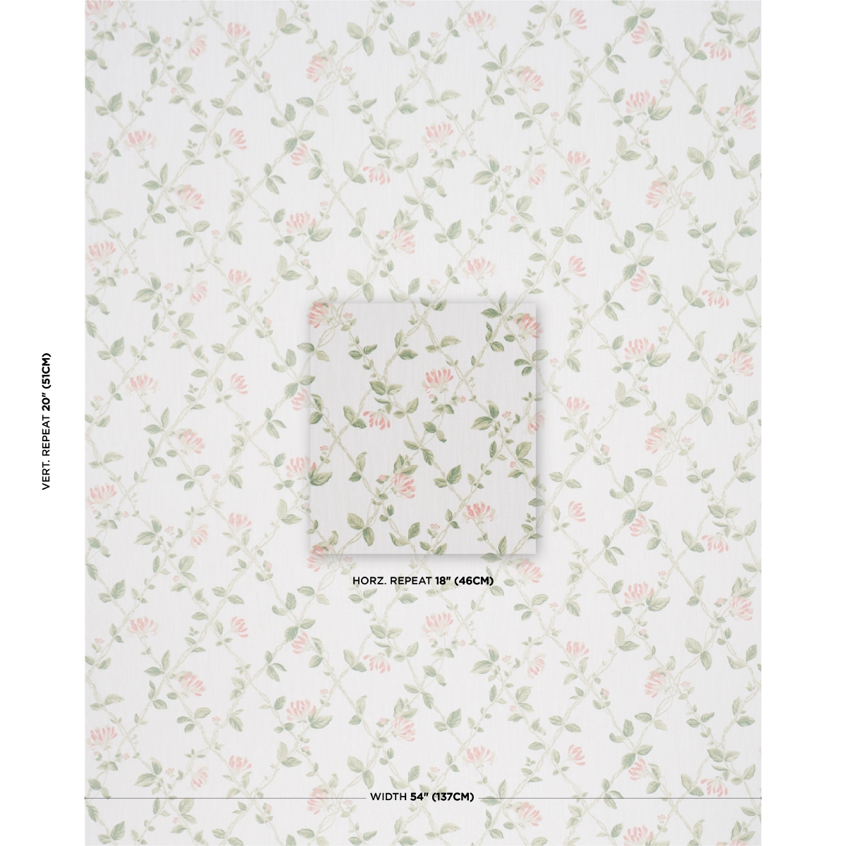 HONEYSUCKLE_ LEAF
