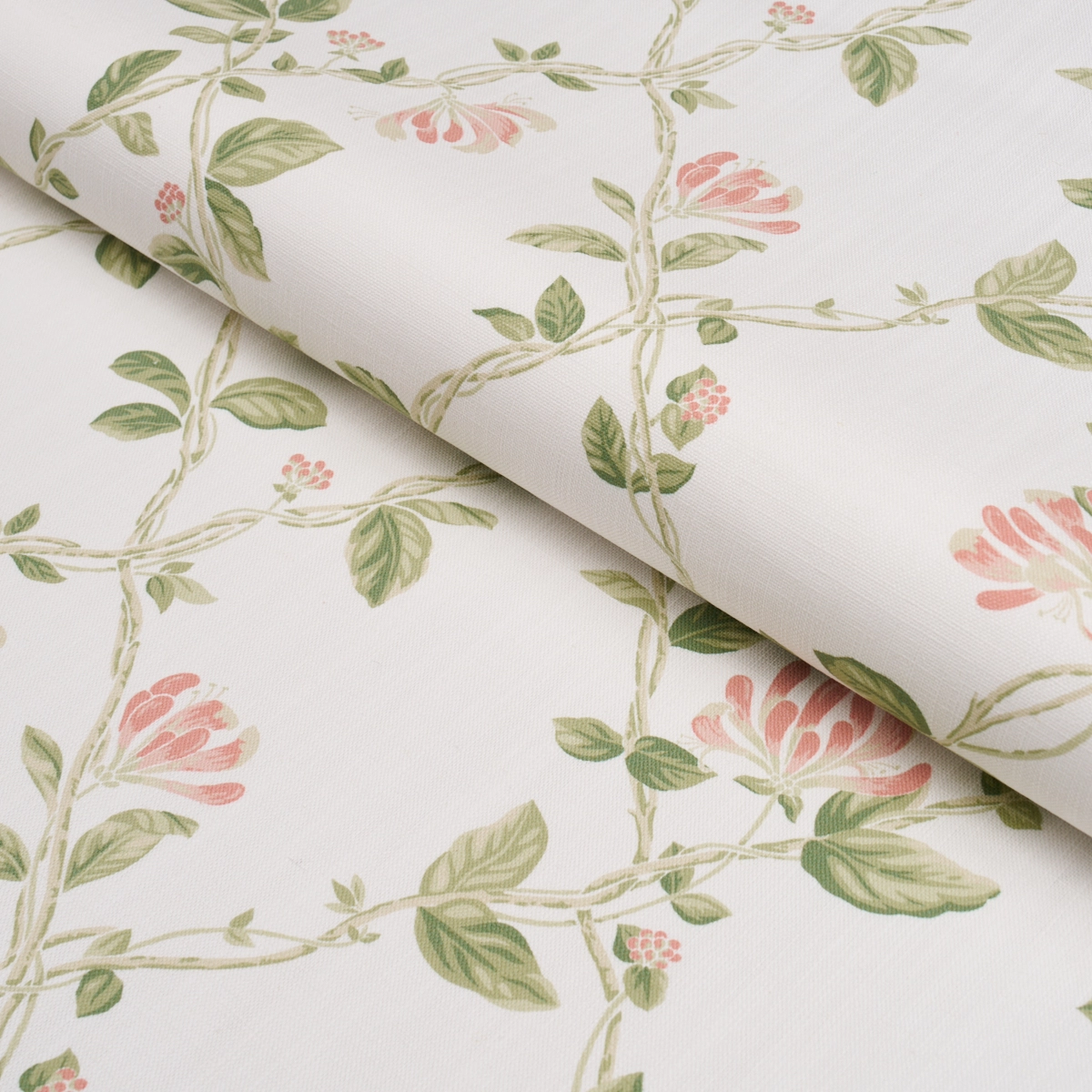 HONEYSUCKLE_ LEAF