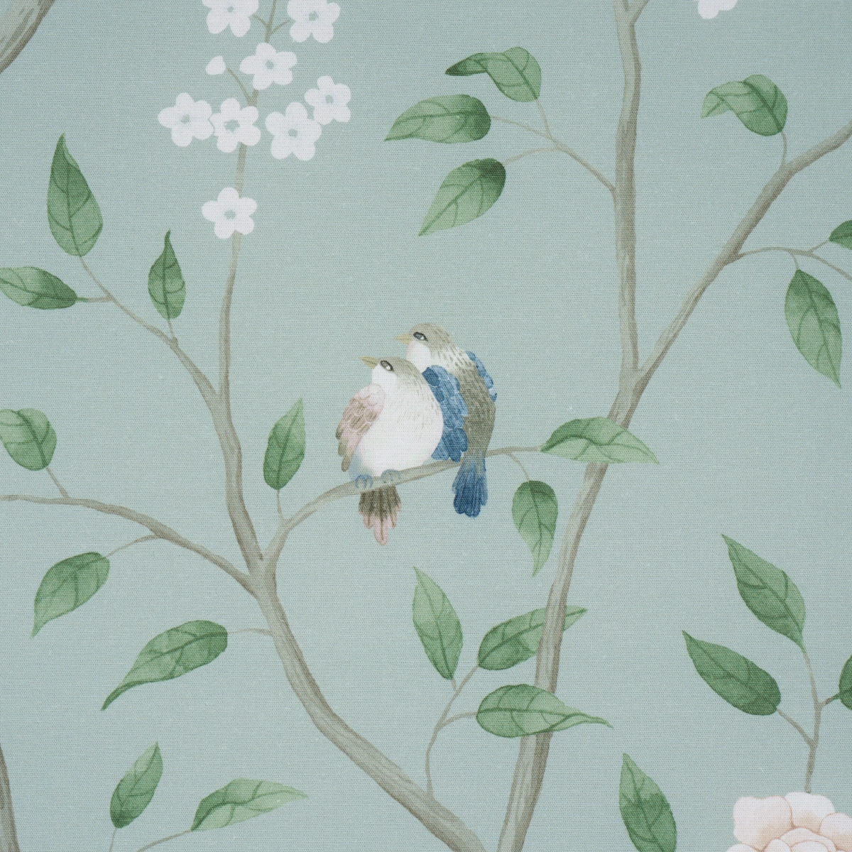 PARADISE BIRDS_ MINERAL