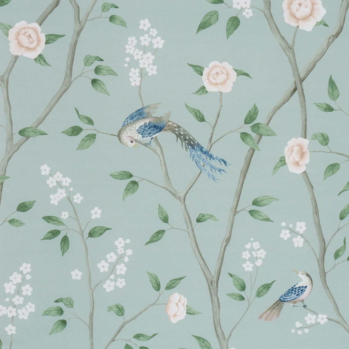 PARADISE BIRDS_ MINERAL