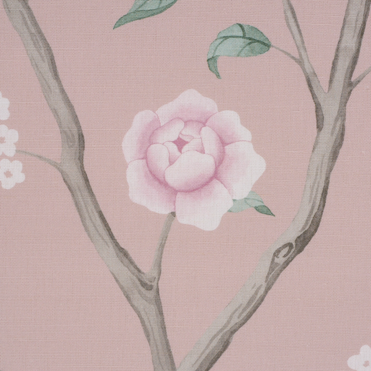 PARADISE BIRDS_ BLUSH