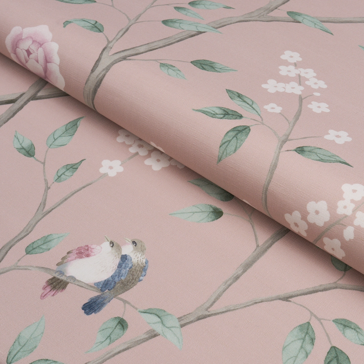 PARADISE BIRDS_ BLUSH