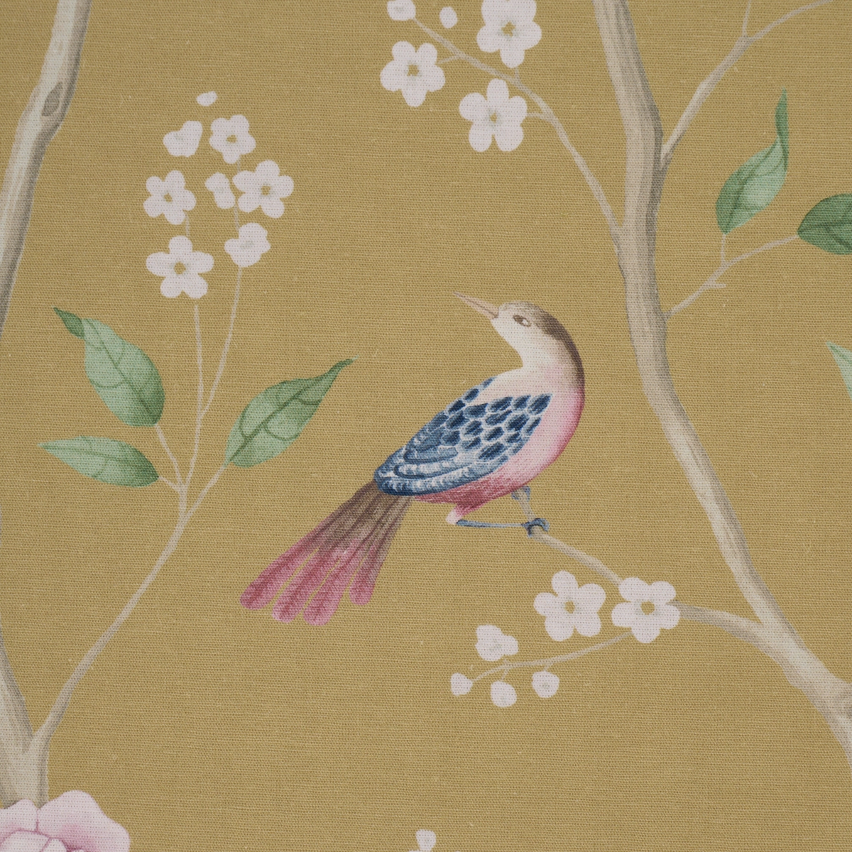 PARADISE BIRDS_ GOLD