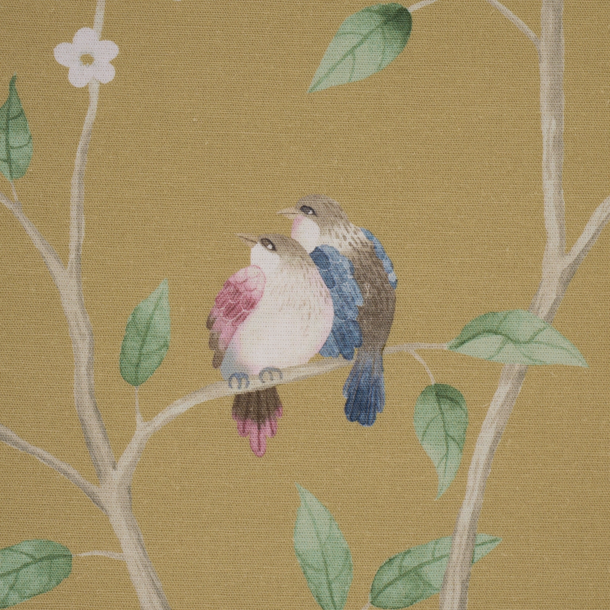PARADISE BIRDS_ GOLD